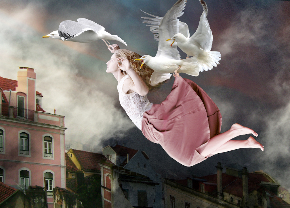 Proudman Flying High Proudman Flying High