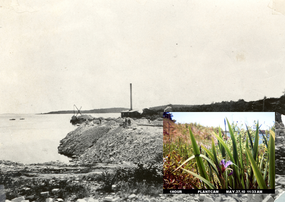 13.aviva rahmani Permaculture Before After Ghost Nets site before in 1930 courtesy of the