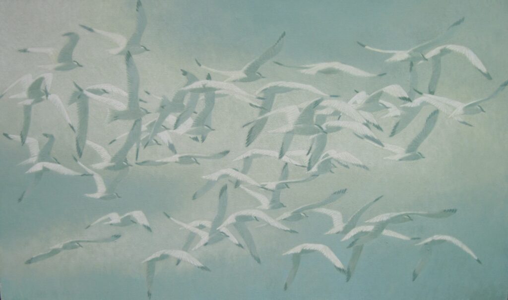 Sawin, Tern Migration warm white clouds Sawin 1 Tern Migration warm white clouds