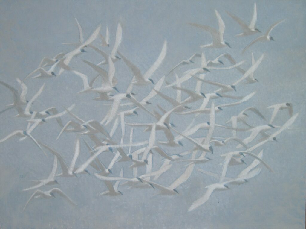 Sawin, Flock of Sixty four 1024x765 Sawin 4 Flock of Sixty four 1024x765
